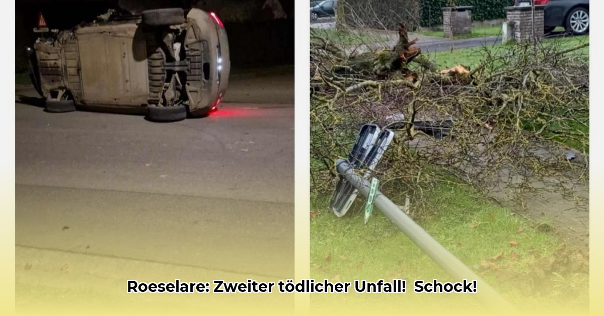 dodelijk-ongeval-roeselare